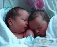 ���� 2012 �. ��������� ������ � � ���-����� ����������